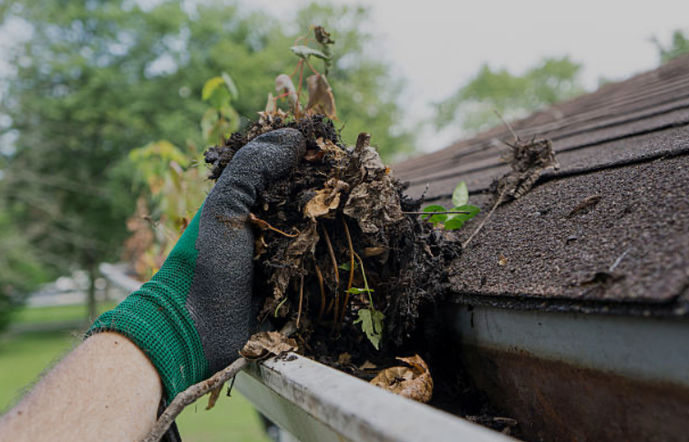 Gutter Cleaning Service